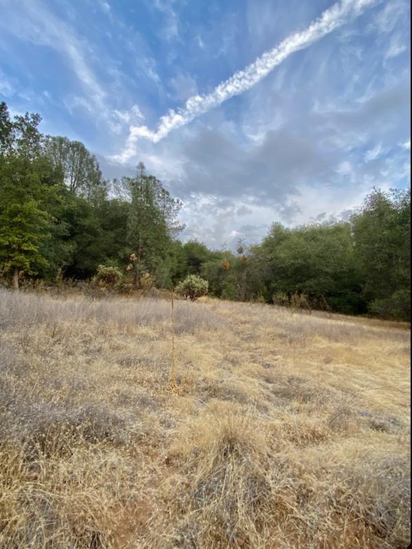 0 Fire Camp Road Oroville, CA 95966 - Photo 2 of 6