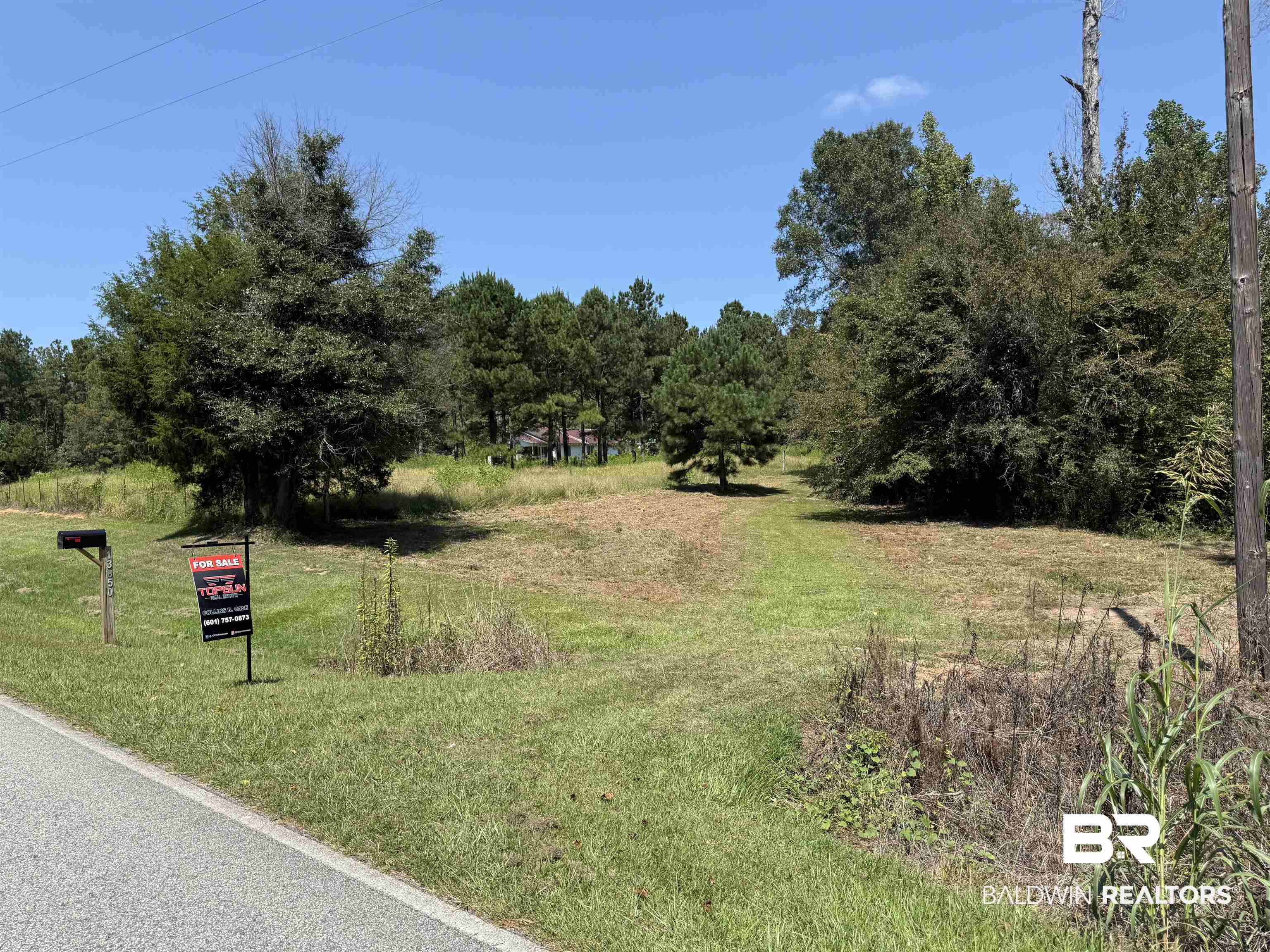 13850 Tallahatta Springs Road Thomasville, AL 36784 - Photo 9 of 27 View of asphalt road