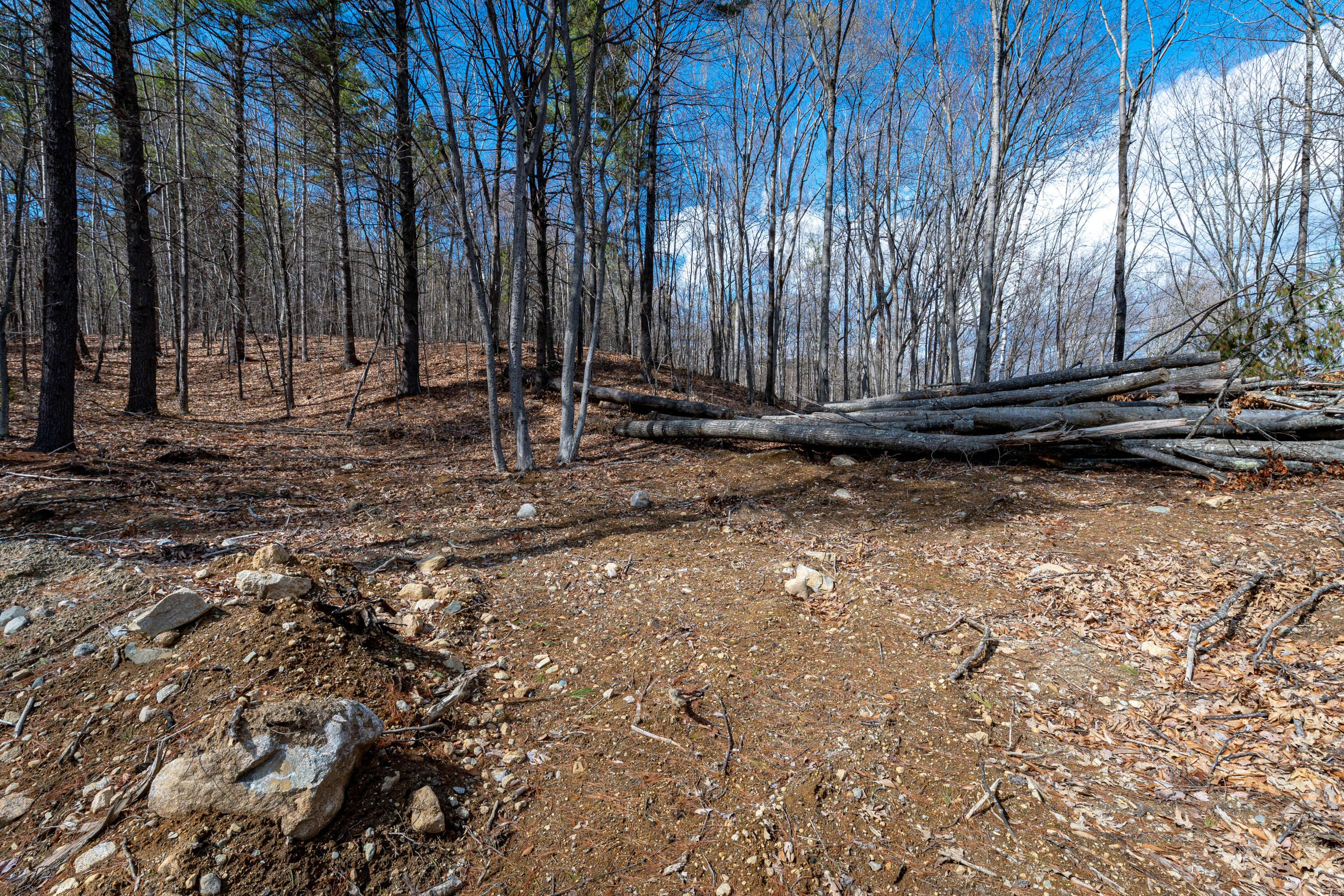 R-12-l-033 Main Street Stoneham, ME 04231 - Photo 13 of 28 Home Site Options