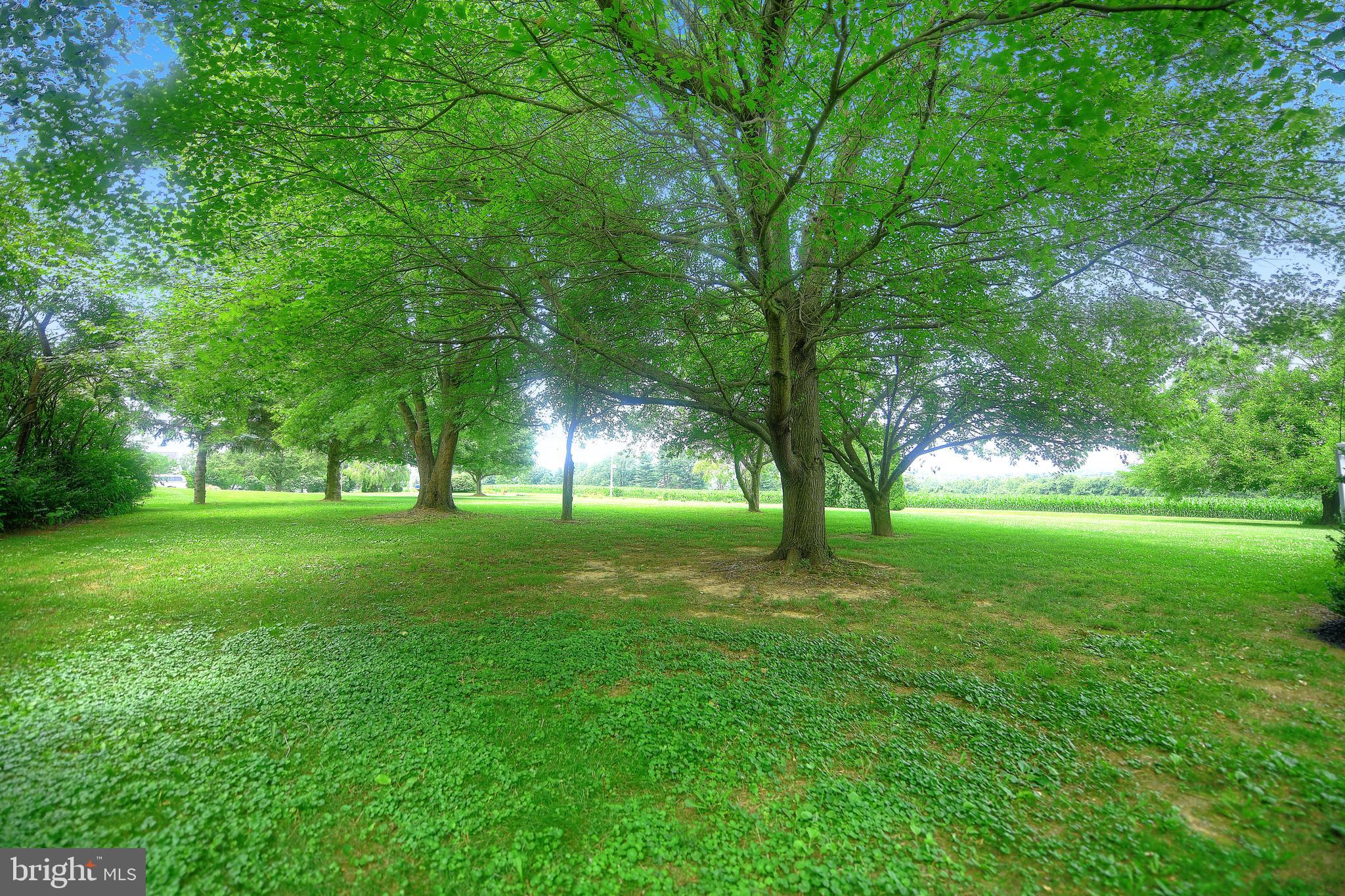 2 Marble Arch Road Colora, MD 21917 - Photo 40 of 47 SHADE TREES IN BACKYARD