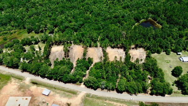 1.32 Acres Airport Road Andalusia, AL 36421 - Photo 4 of 12