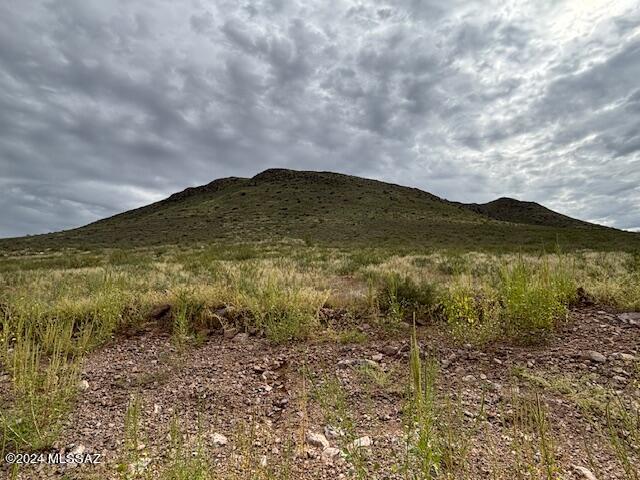 Tbd East Indian Ridge Road Willcox, AZ 85643 - Photo 4 of 18