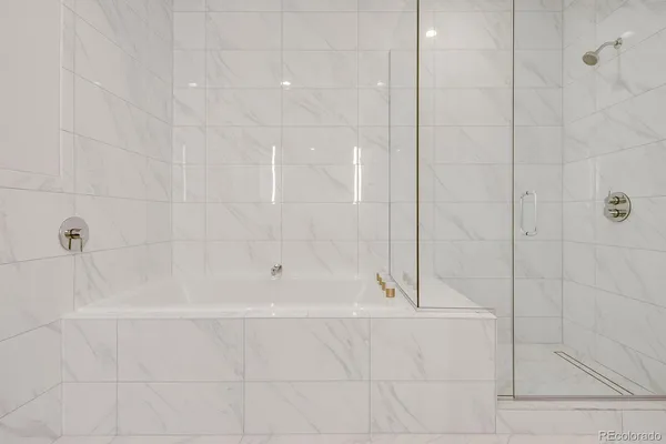 a bathroom with a shower and a bathtub