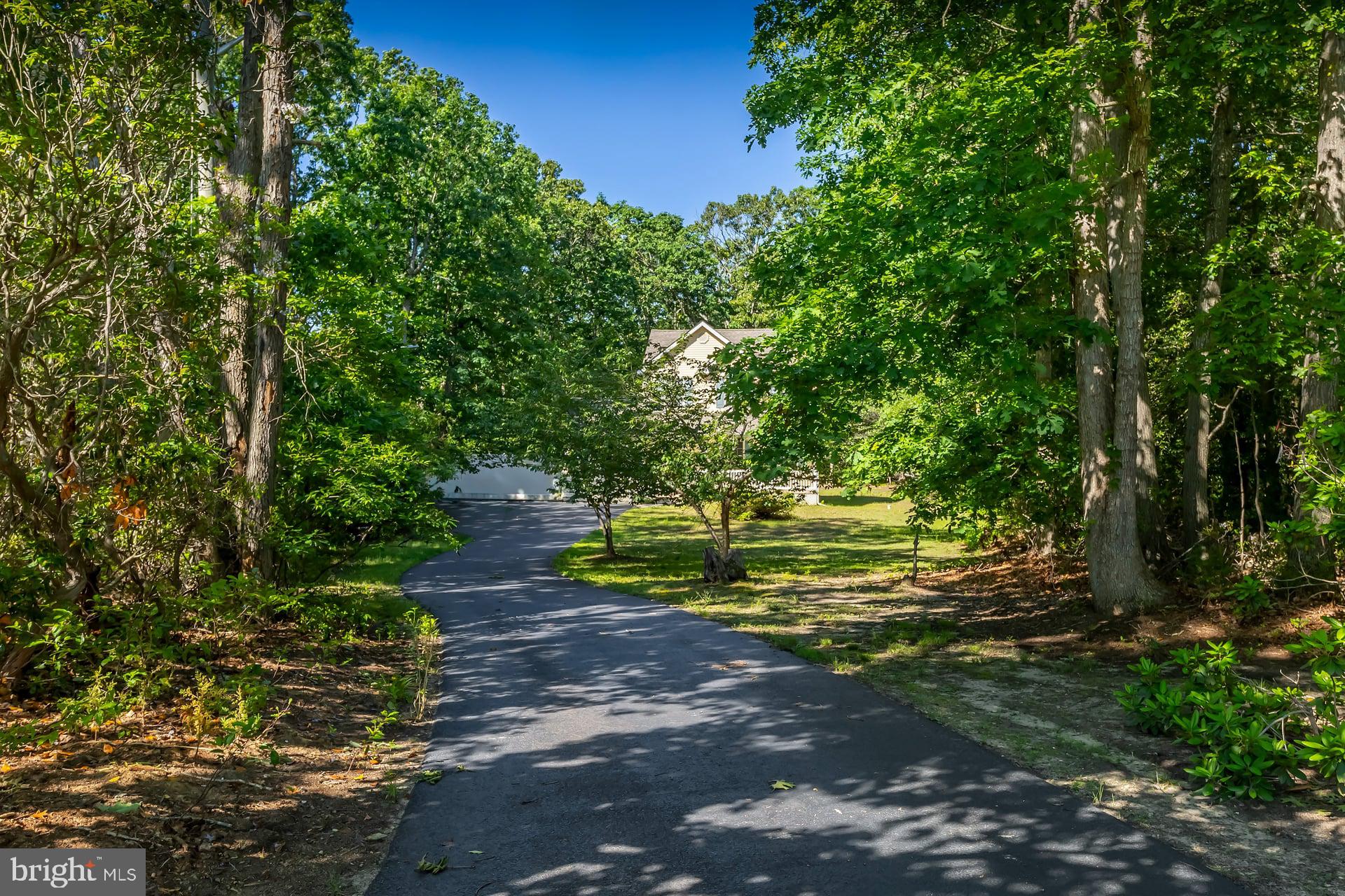 164 Clarks Pond Road Bridgeton, NJ 08302 - Photo 4 of 27 Private paved driveway