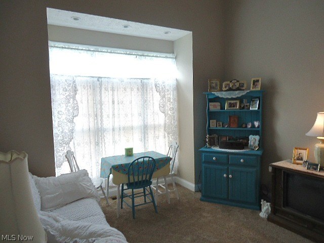 10725 Prouty Road Painesville, OH 44077 - Photo 16 of 21 Gallery Image 16