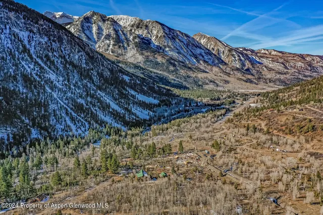 a city view with tall trees