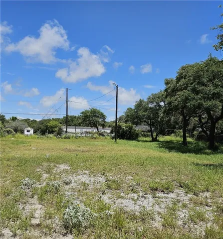 a view of a grassy field with trees in the background