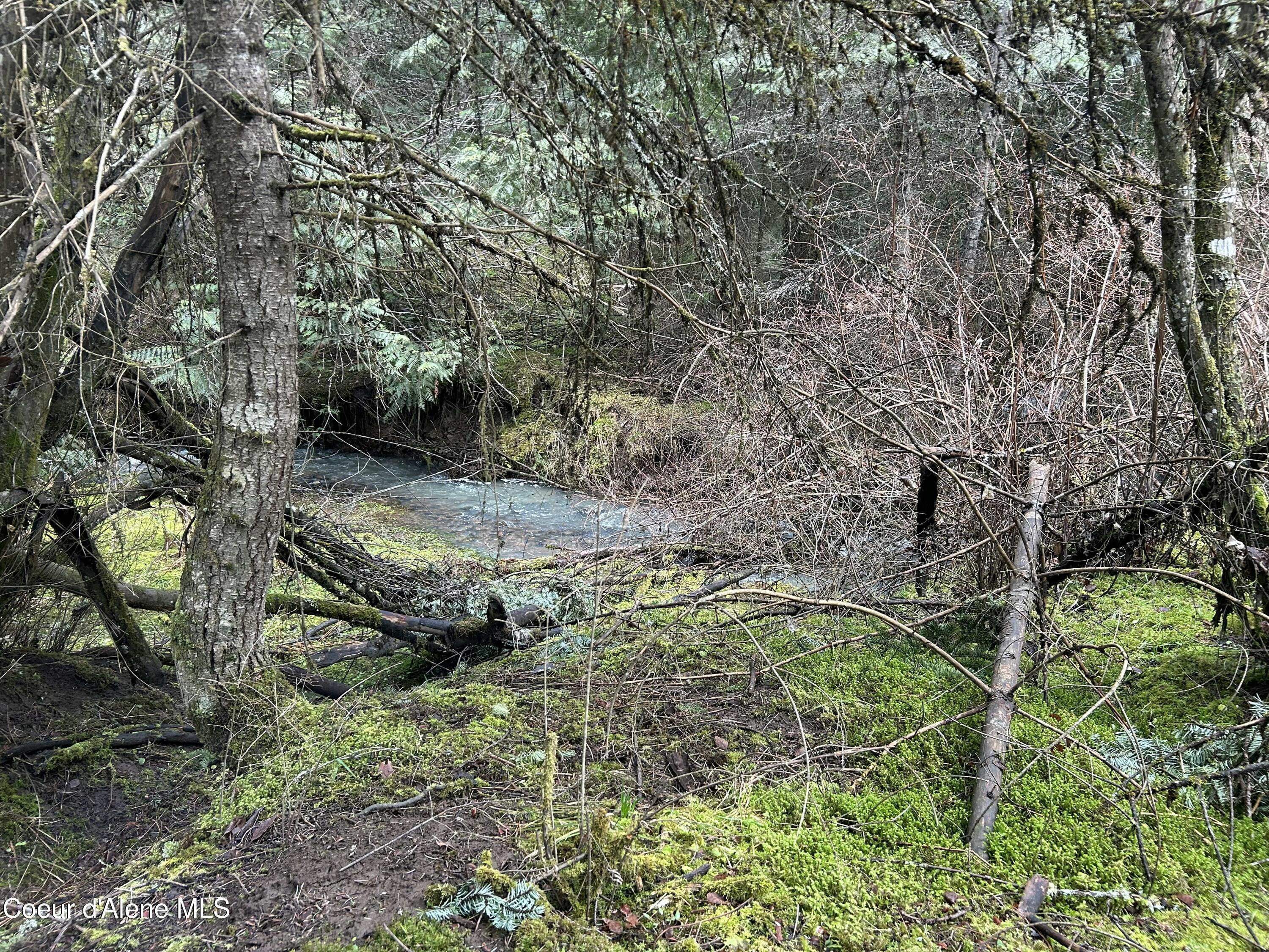 Nna East Bell Canyon Road Harrison, ID 83833 - Photo 1 of 21 Bell Creek