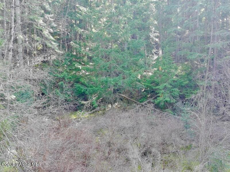 Nna East Bell Canyon Road Harrison, ID 83833 - Photo 11 of 21 _app_sd_ATOM_001_DCIM_PTSC_0071