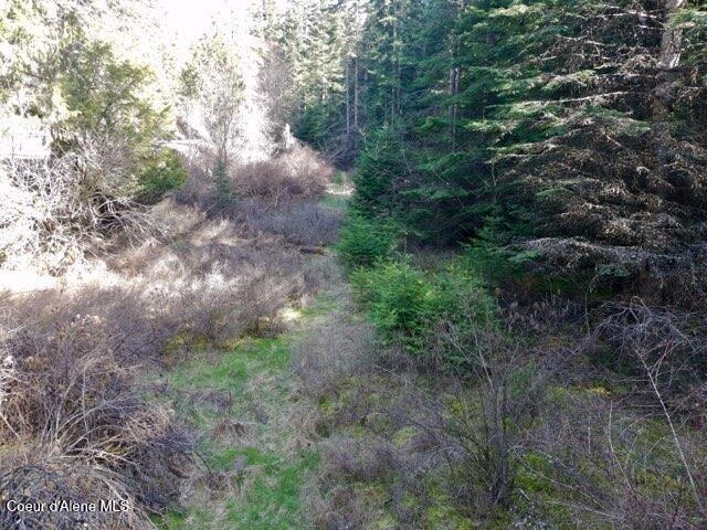 Nna East Bell Canyon Road Harrison, ID 83833 - Photo 13 of 21 _app_sd_ATOM_001_DCIM_PTSC_0069