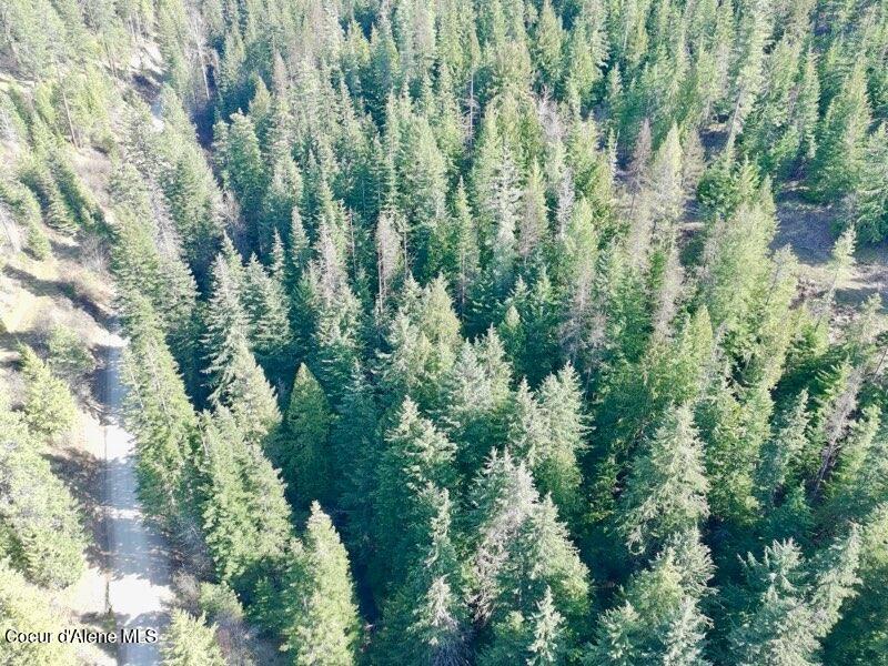 Nna East Bell Canyon Road Harrison, ID 83833 - Photo 16 of 21 Bell Cyn East