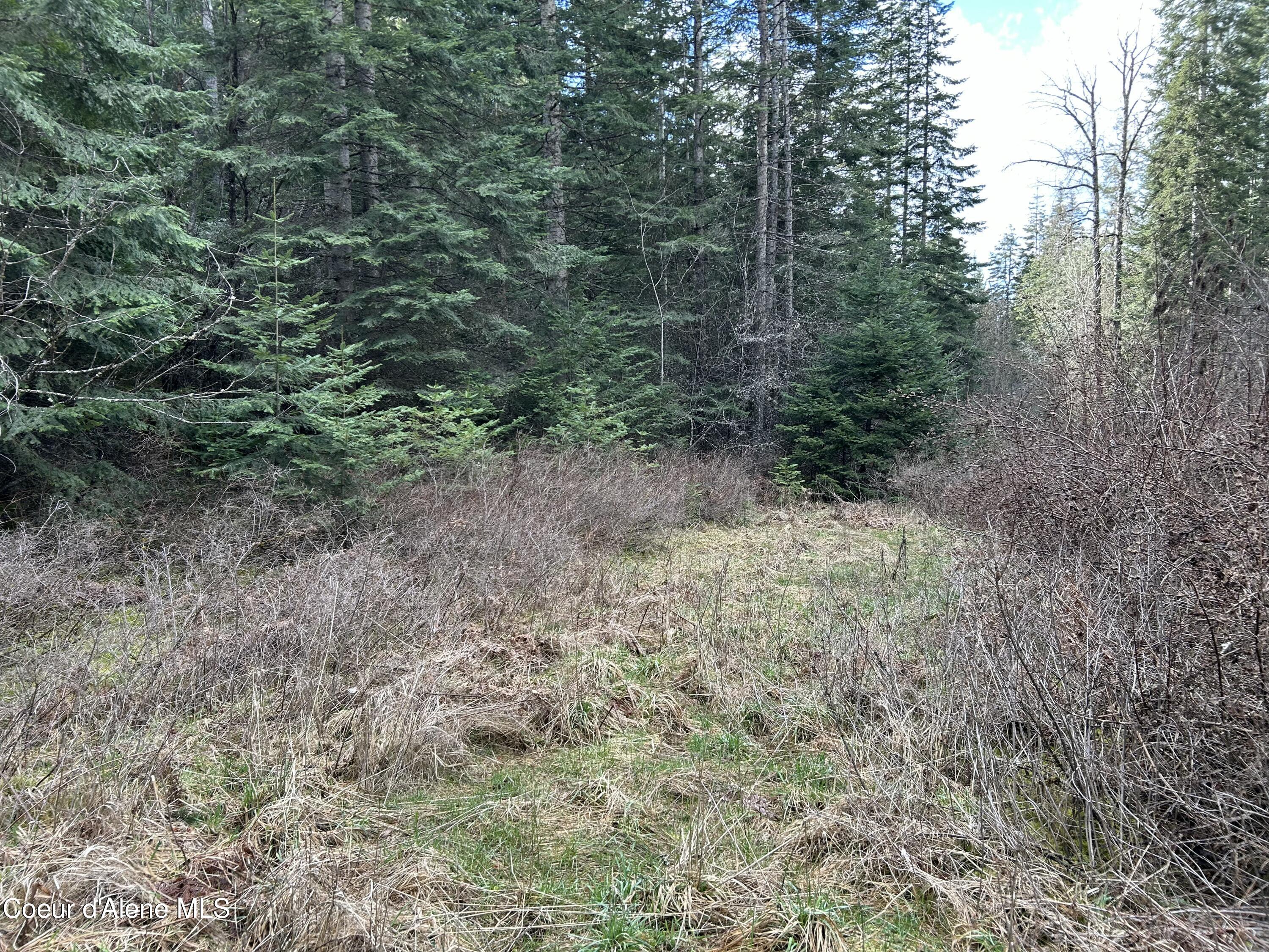 Nna East Bell Canyon Road Harrison, ID 83833 - Photo 18 of 21 Homesite?