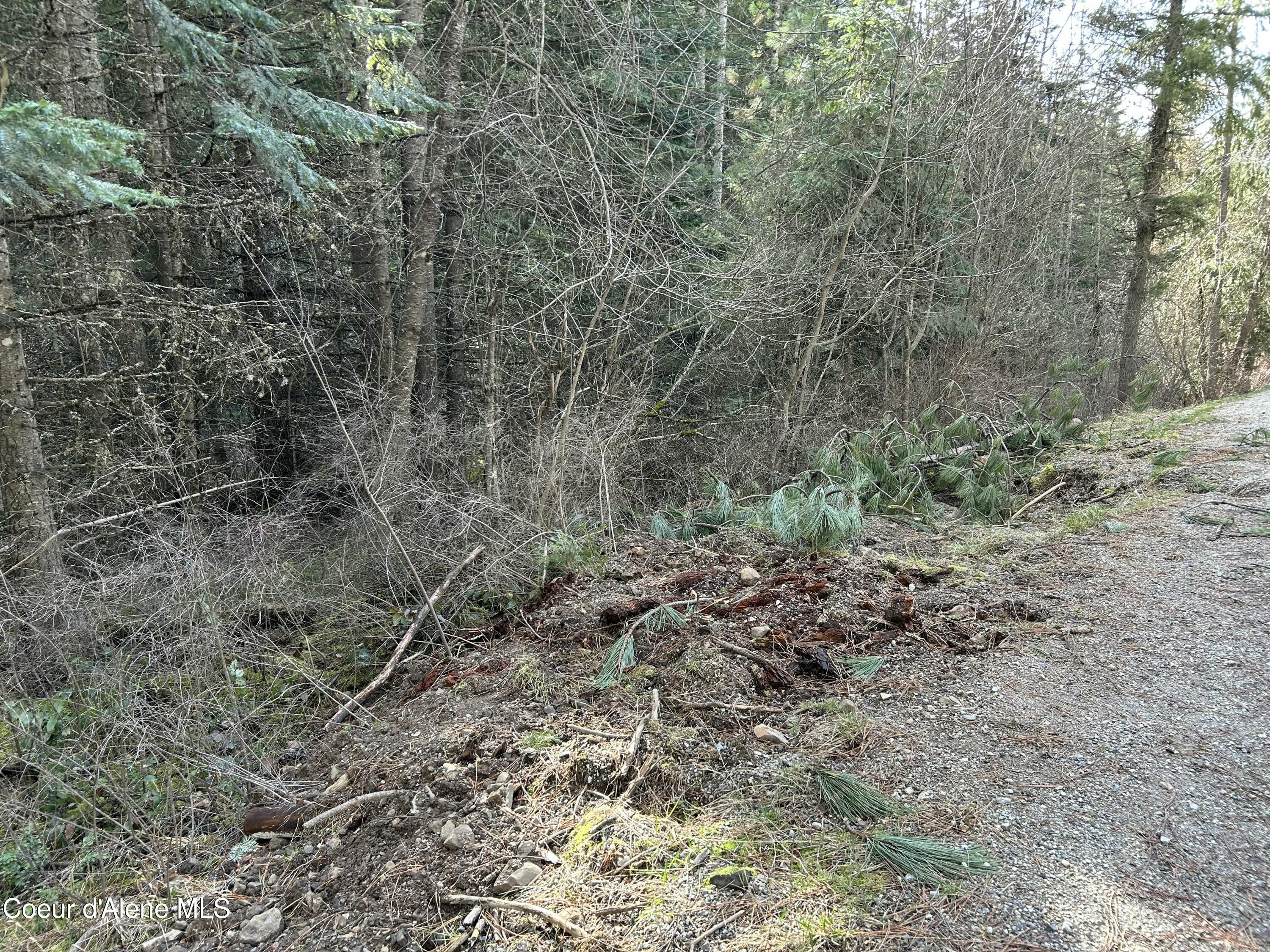 Nna East Bell Canyon Road Harrison, ID 83833 - Photo 20 of 21 Driveway Location