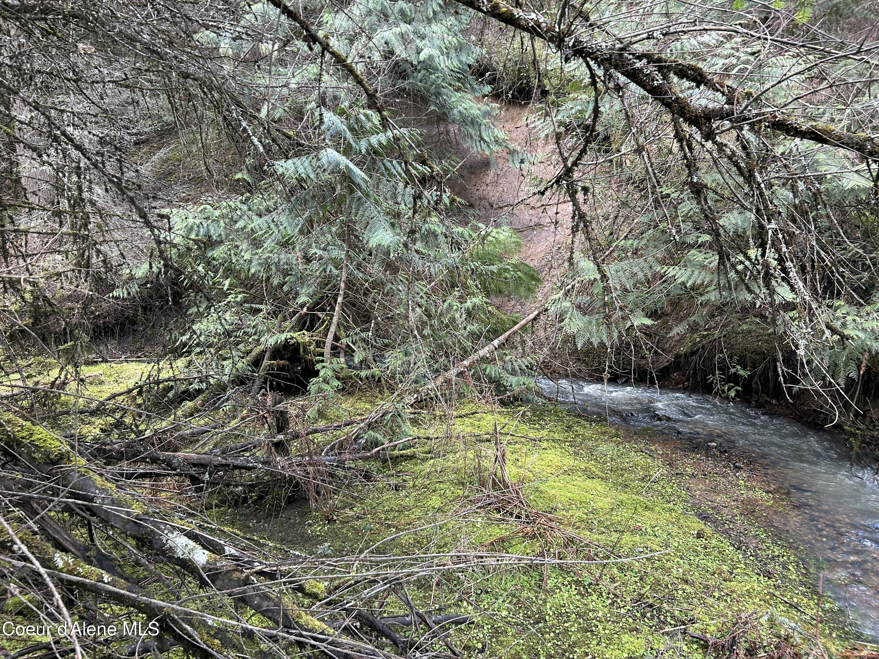 Nna East Bell Canyon Road Harrison, ID 83833 - Photo 2 of 21 Bell Creek