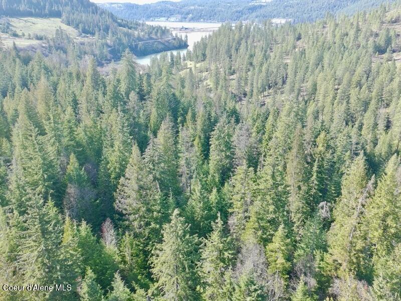 Nna East Bell Canyon Road Harrison, ID 83833 - Photo 8 of 21 Looking Northwest