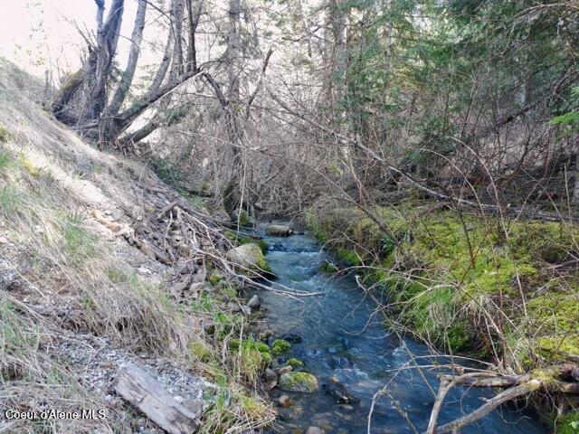 Nna East Bell Canyon Road Harrison, ID 83833 - Photo 9 of 21 Beautiful Bell Creek