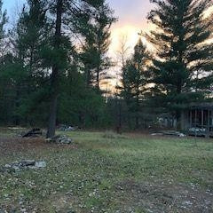 4665 West Packingham Road Lake City, MI 49651 - Photo 4 of 28 Photo 4