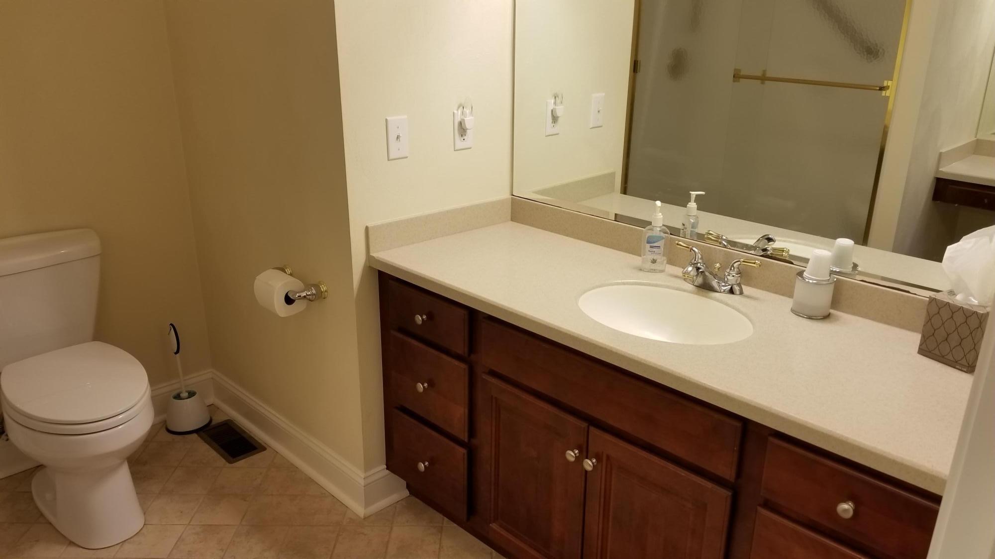 267 Stoney Mill Road Rocky Mount, VA 24151 - Photo 18 of 44 17 Master Bath