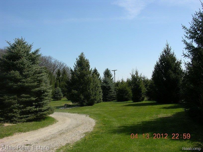 8342 Washburn Road Goodrich, MI 48438 - Photo 22 of 24 DSCN7429.JPG