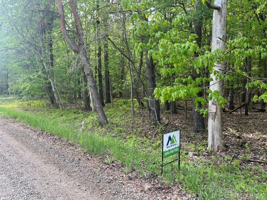 0 Mortimer Line Road Croswell, MI 48422 - Photo 10 of 10