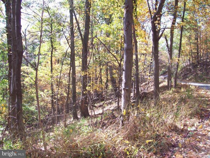 13 Granny Smith Road Linden, VA 22642 - Photo 14 of 14 Wooded View / Acreage 2