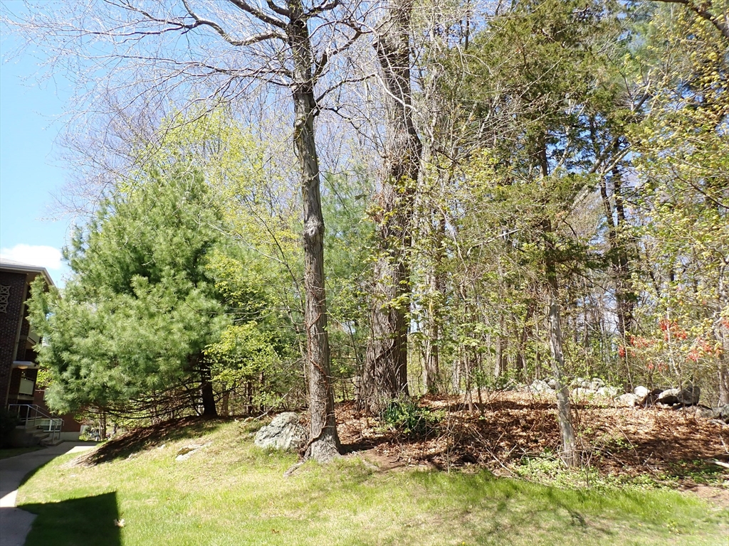 51 Jacqueline Road, Unit 3 Waltham, MA 02452 - Photo 16 of 17