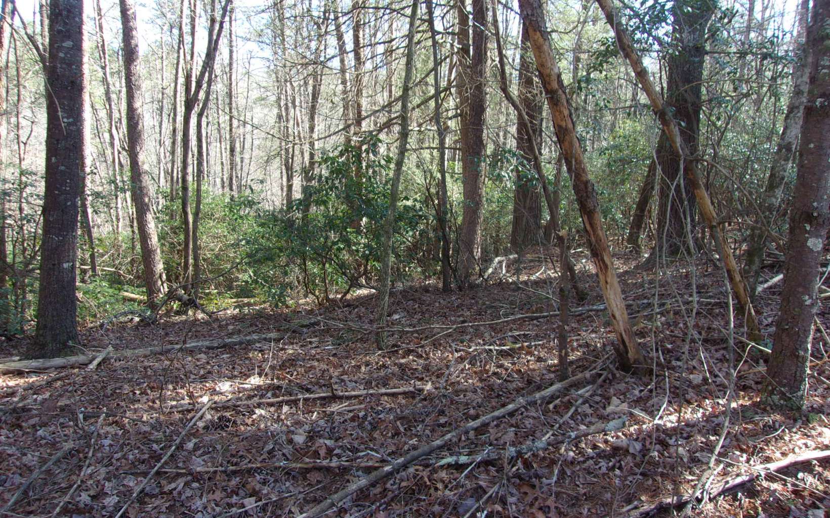 J260 Pine Ridge Road Ellijay, GA 30536 - Photo 3 of 19 Additional View