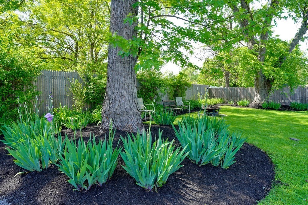 20 Meadow Road Northborough, MA 01532 - Photo 8 of 30 Gallery Image 8