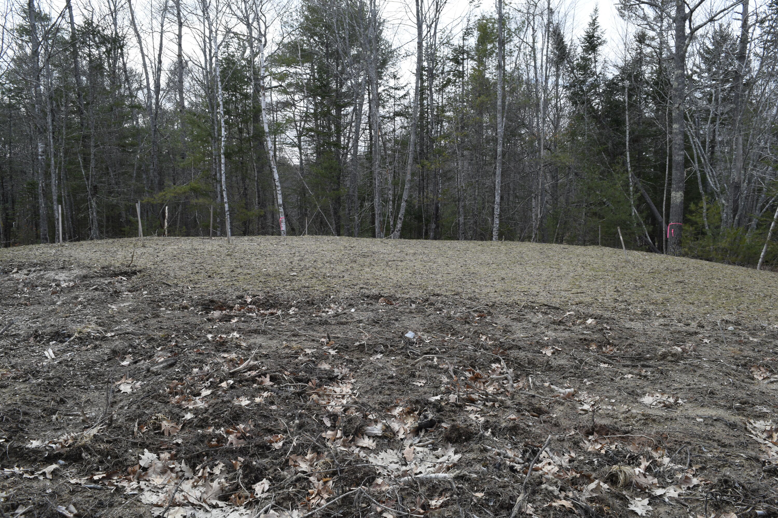 36 Purinton Road Brunswick, ME 04011 - Photo 4 of 10 DSC_1524