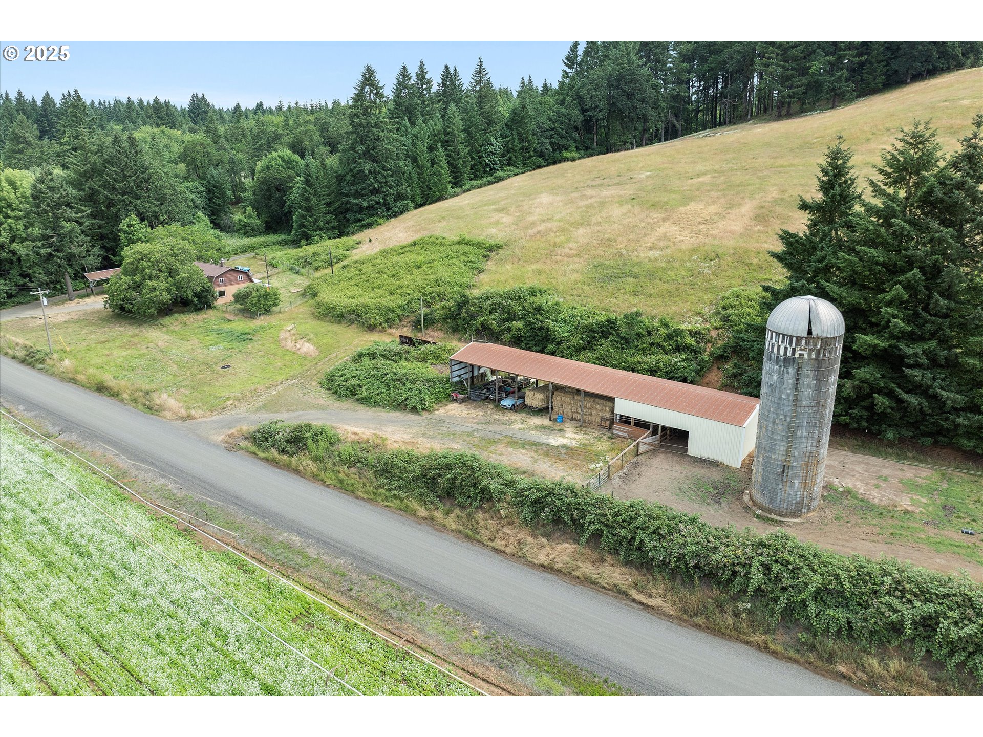 7340-7350 Smith Road Monmouth, OR 97361 - Photo 11 of 40 a view of a yard with mountain