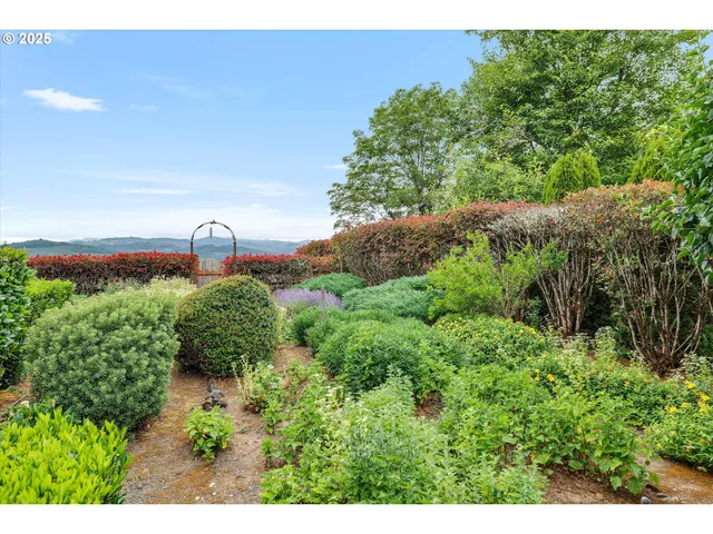 a view of a back yard