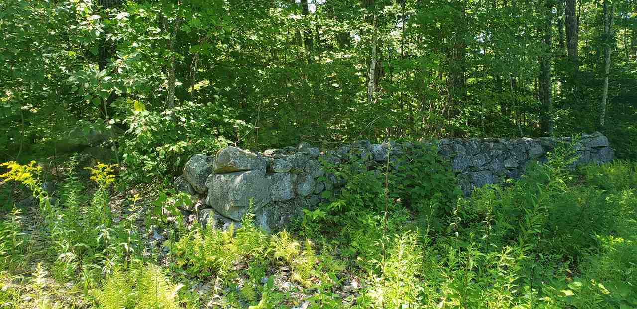 Mason Road Chichester, NH 03258 - Photo 4 of 14