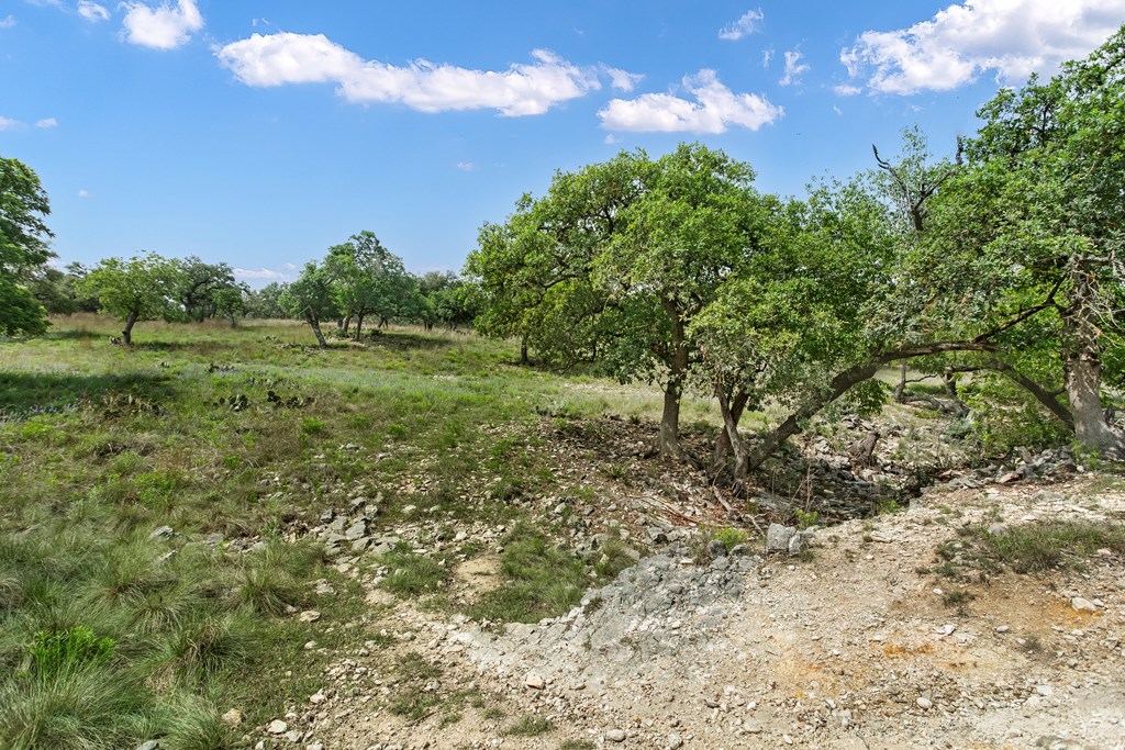 181 Real Lake House Road South Kerrville, TX 78028 - Photo 2 of 18 a view of a field with trees in the background