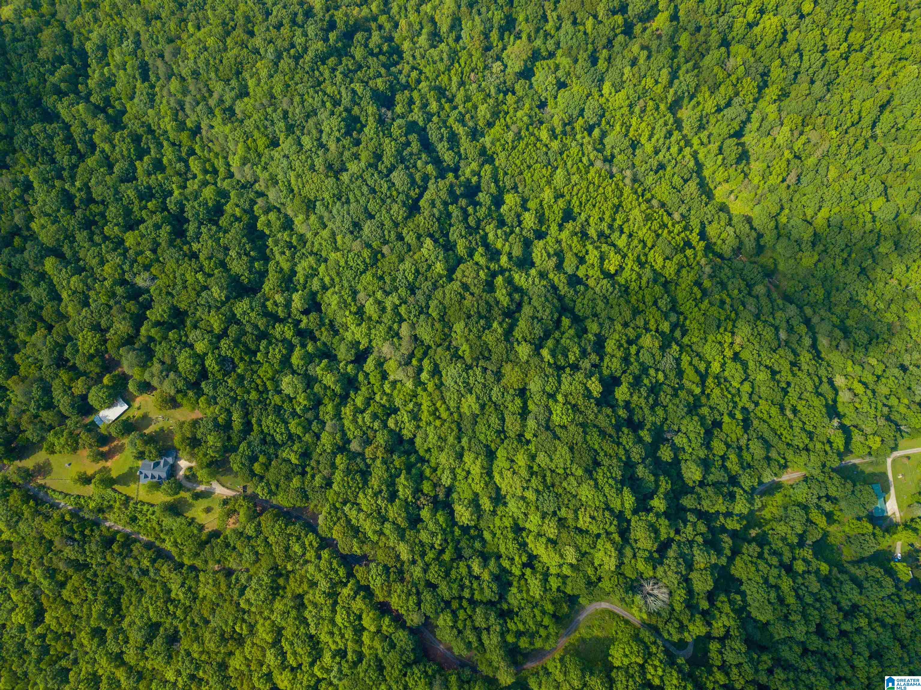 Cliff Road Springville, AL 35146 - Photo 8 of 11