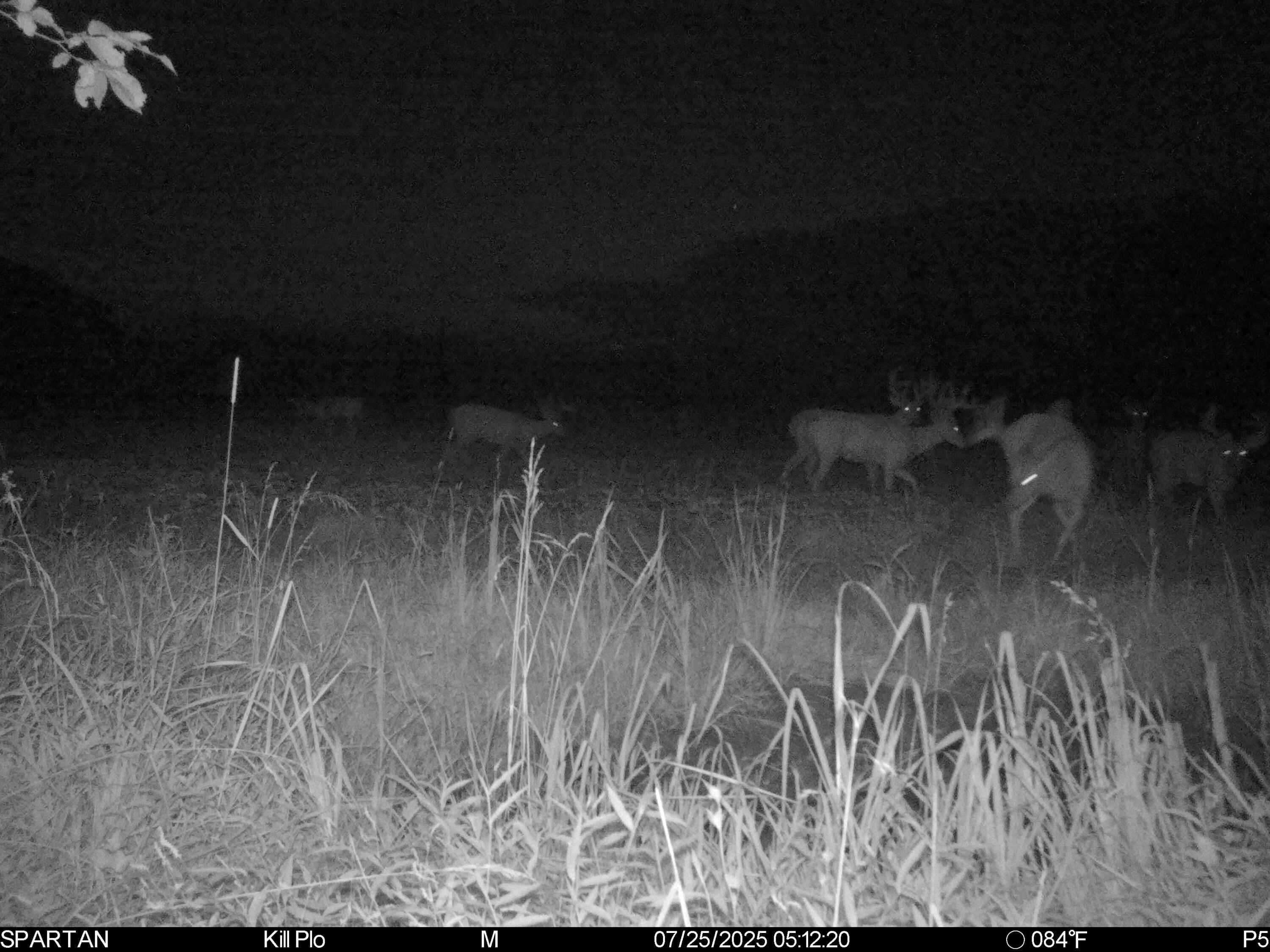 0 Stoneburner Road Northwest Crooksville, OH 43731 - Photo 23 of 26 image13