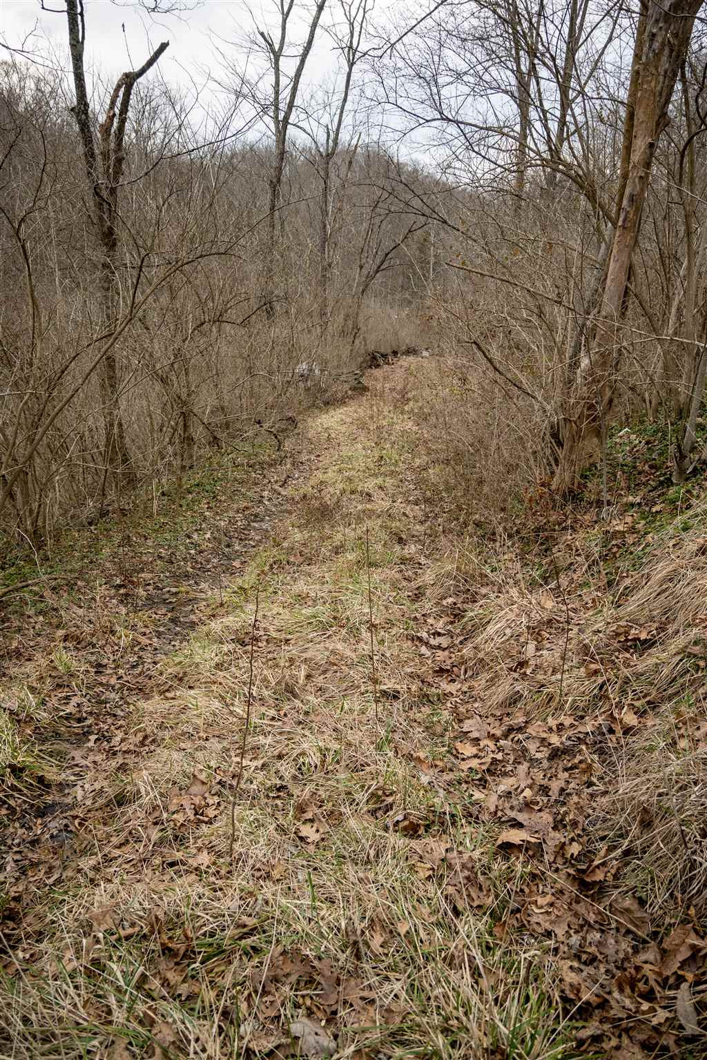 3809 Wolf Road Covington, KY 41015 - Photo 3 of 17 Gallery Image 3
