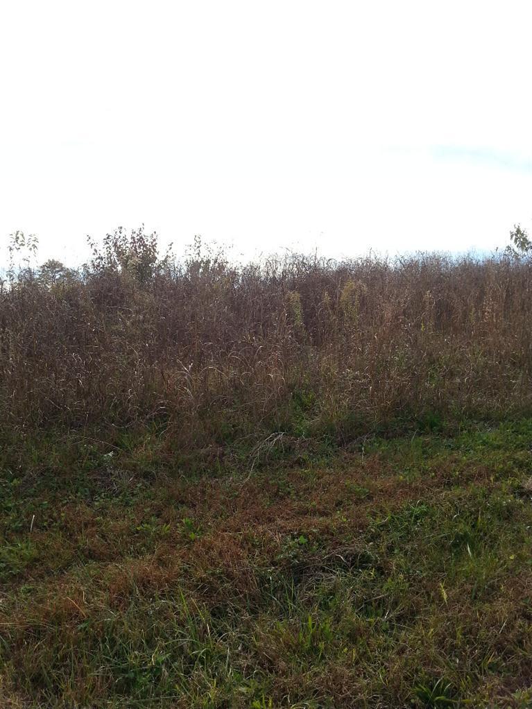 59 Oak Ridge Somerset, KY 42501 - Photo 2 of 3 Additional Photo