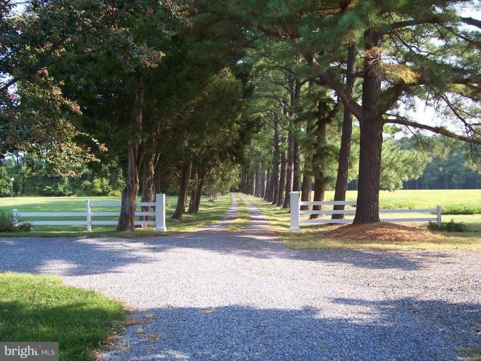 6796 Bozman Neavitt Road Bozman, MD 21612 - Photo 8 of 20 View from house down driveway