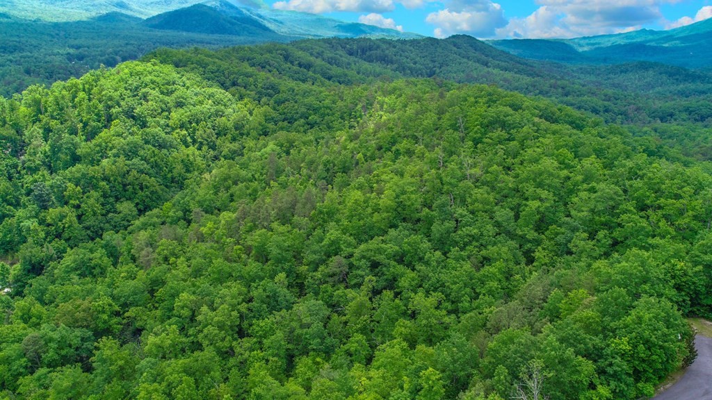 0 Acres Cosby, TN 37722 - Photo 14 of 28 Gallery Image 14
