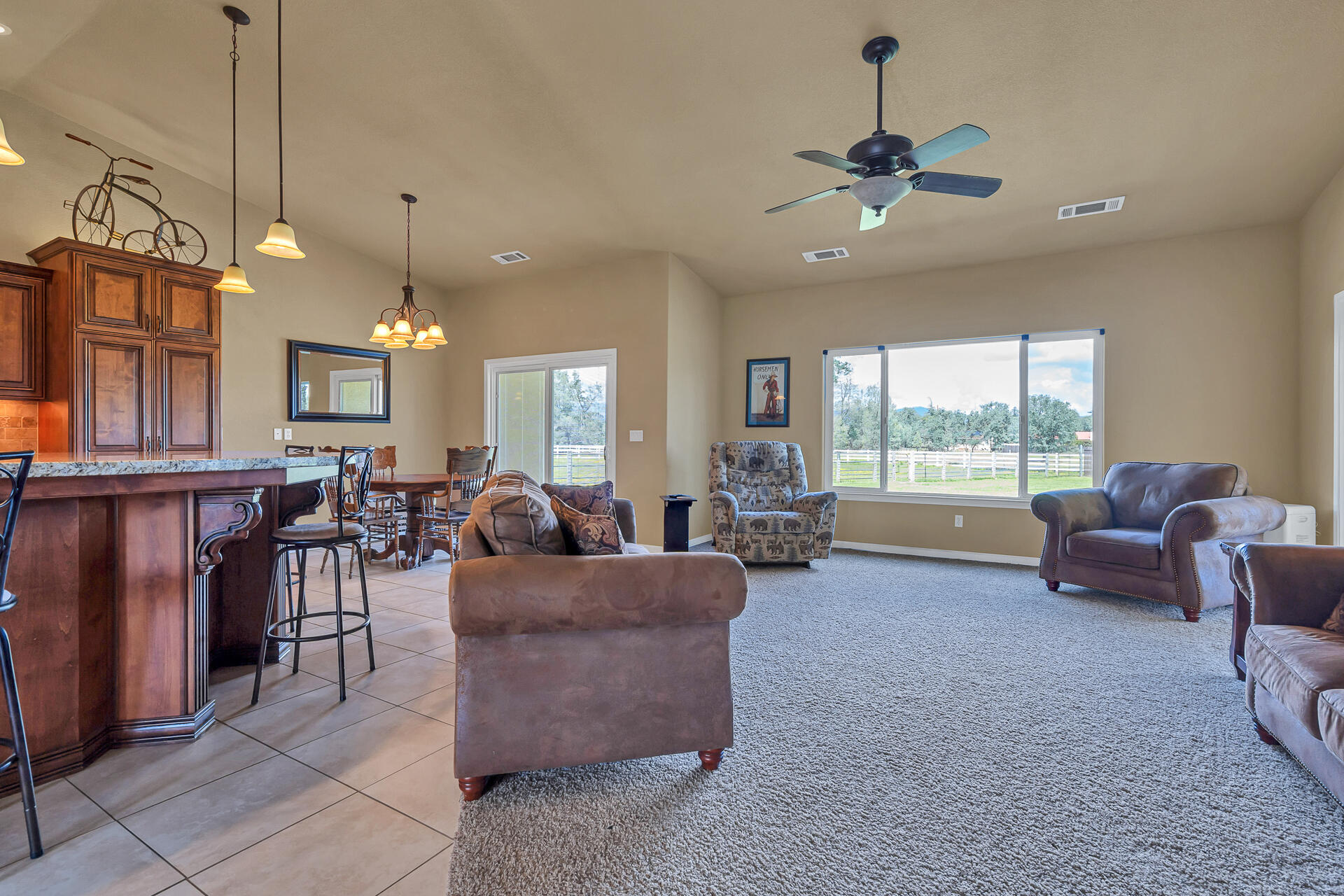 16170 Willow Springs Road Anderson, CA 96007 - Photo 14 of 61 16170WillowSpringsRoad-21