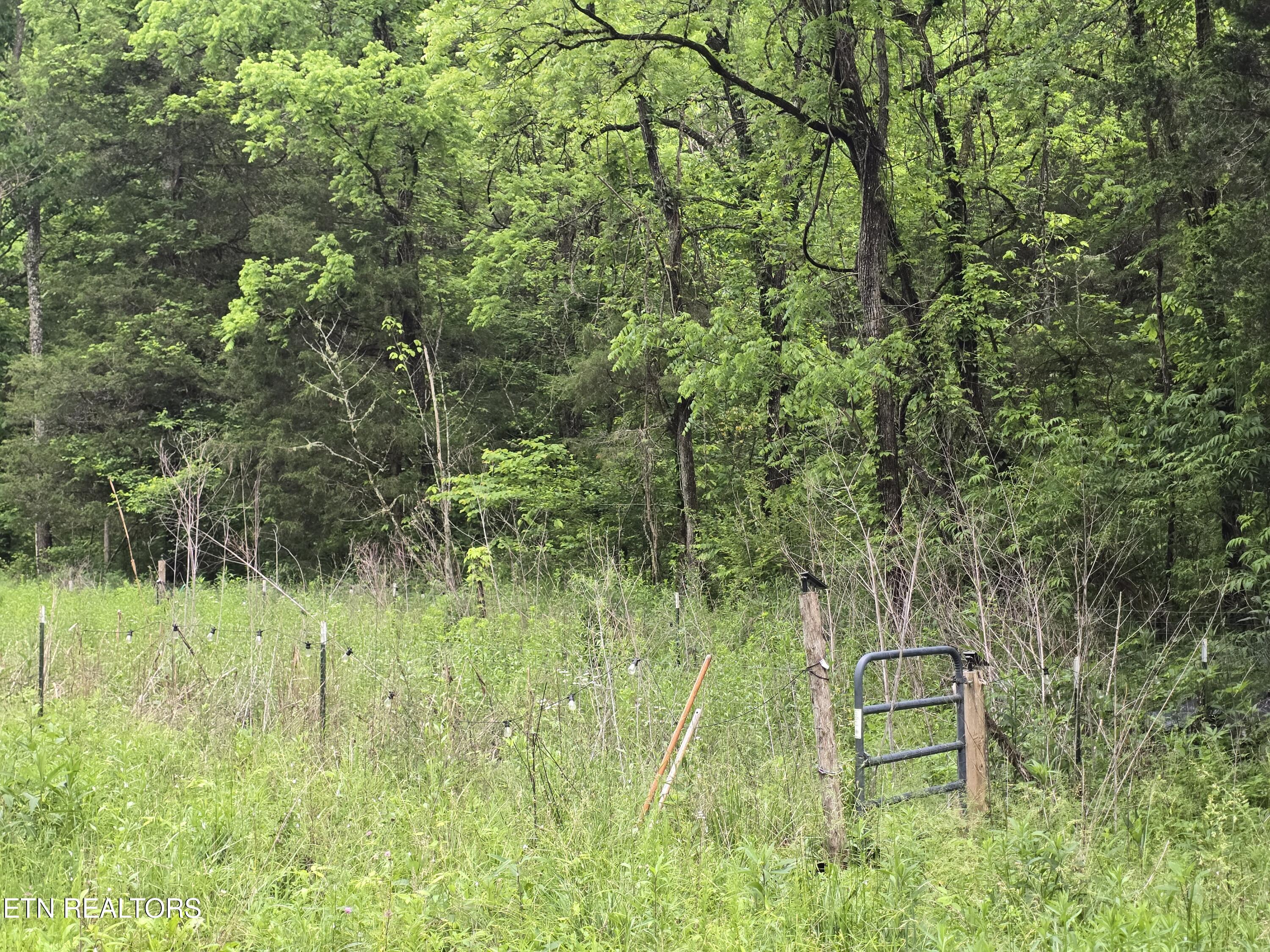 2615 Stoney Fork Road Sneedville, TN 37869 - Photo 48 of 60 20260525_193052
