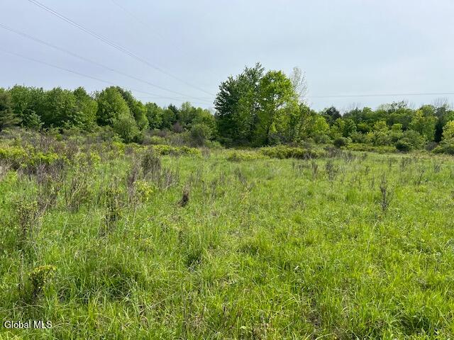 L9 Harrington Road Gilboa, NY 12076 - Photo 16 of 27 IMG_5390