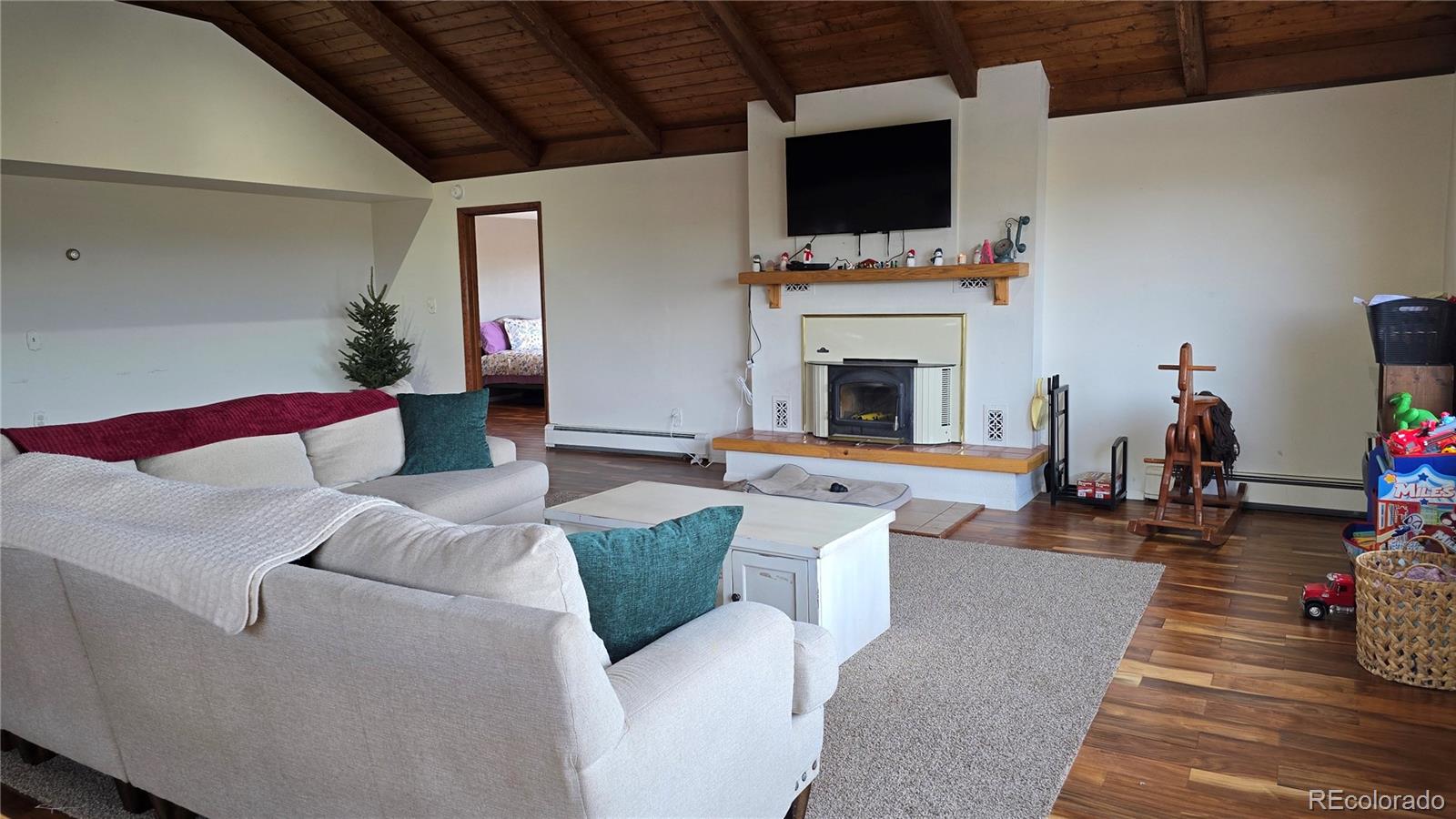 411 Gruenberg Road Fort Garland, CO 81133 - Photo 16 of 41 a living room with furniture a flat screen tv and a fireplace