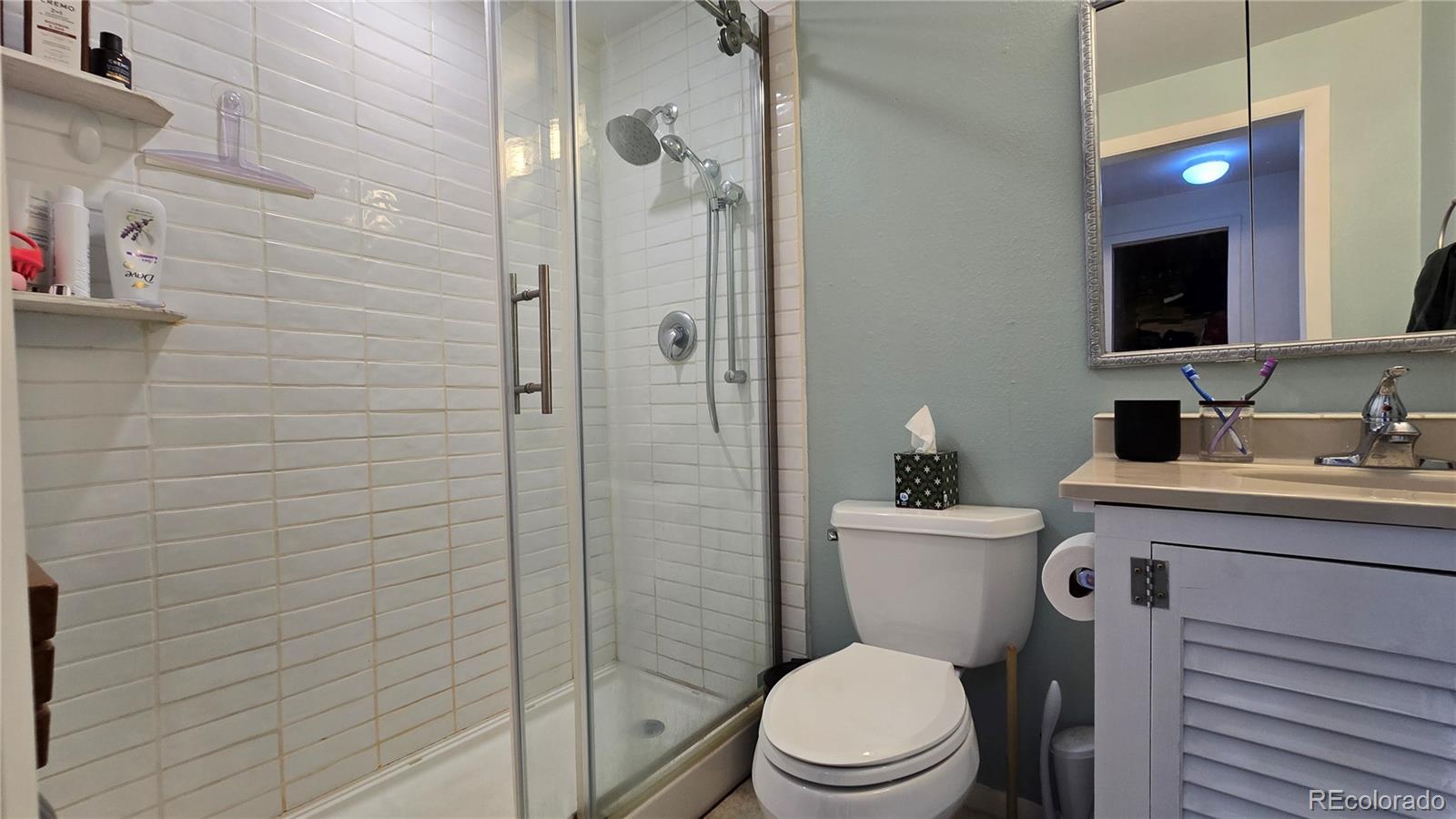 411 Gruenberg Road Fort Garland, CO 81133 - Photo 24 of 41