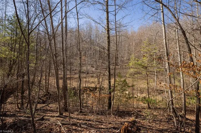 $67,280 | Lot 4 Green Point Lane, Boomer, NC 28606