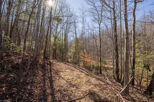 $67,280 | Lot 4 Green Point Lane, Boomer, NC 28606
