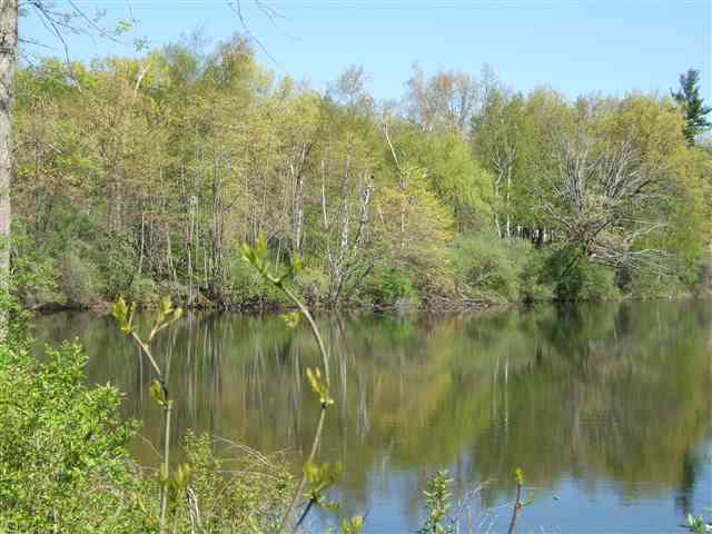 26016 Pond Road Leonard, MI 48367 - Photo 2 of 12 31197640-1.JPG