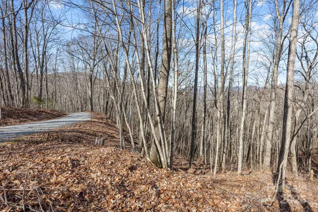 a view of a backyard with large trees