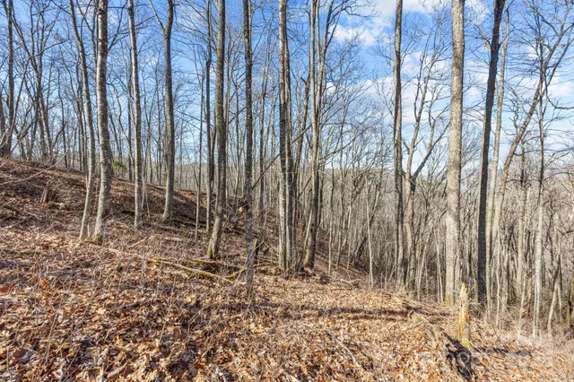 a view of a backyard of the house