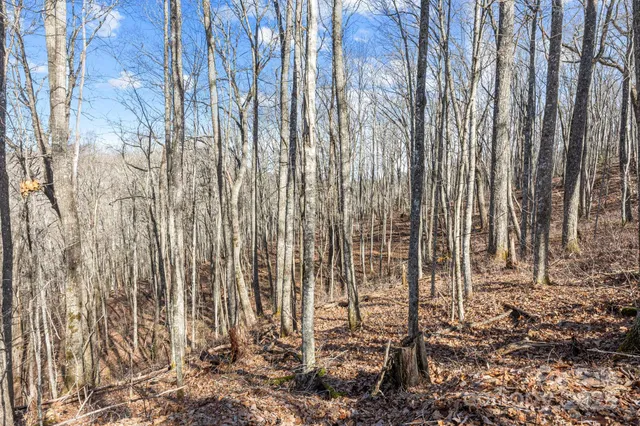 a view of a backyard of the house